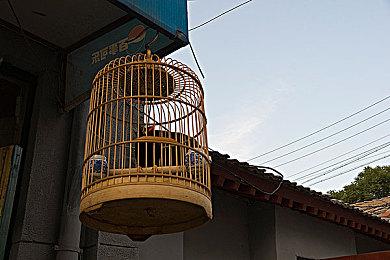 Steam新品节启动 数百款游戏试玩版7天内免费体验